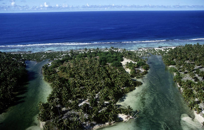 无人,横图,俯视,航拍,室外,白天,旅游,度假,海洋,美景,森林,岛,地形,海岸线,景观,水平线,娱乐,风景,自然,享受,休闲,景色,放松,摄影,宁静,热带气候,鸟瞰,自然风光,大洋洲,野地,法属波利尼西亚,社会群岛,法属玻利尼西亚,彩图,高角度拍摄,塔哈岛,法国海外领土