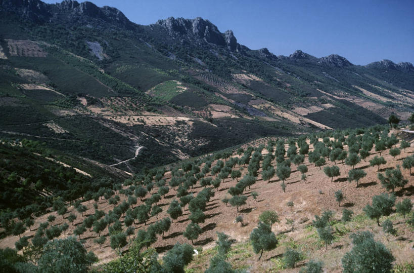 无人,横图,室外,白天,旅游,度假,农业,美景,山脉,西班牙,地形,景观,娱乐,风景,自然,享受,休闲,景色,放松,摄影,宁静,自然风光,万里无云,埃斯特雷马杜拉,地质学,自然地理,兰花,彩图