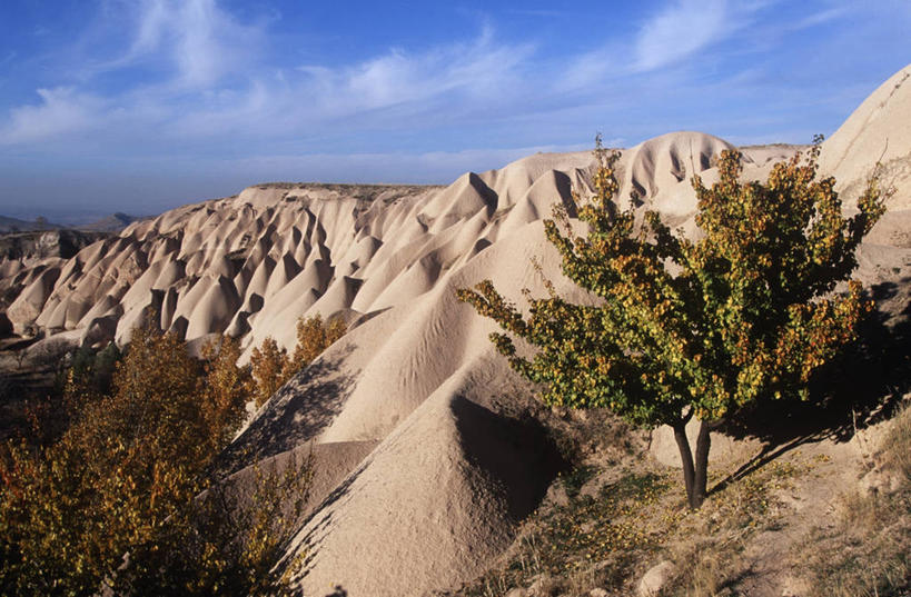 无人,横图,俯视,室外,白天,旅游,度假,美景,山,欧洲,地形,景观,娱乐,树,风景,天空,自然,享受,休闲,景色,放松,摄影,宁静,岩层,自然风光,野地,乌奇夏,地质学,卡帕多奇亚,自然地理,岩石,彩图,高角度拍摄,火山学