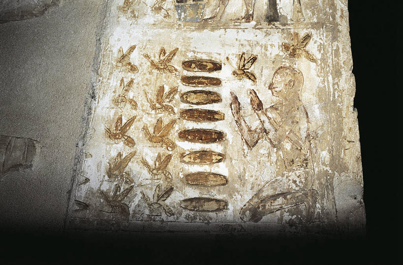 无人,横图,室内,特写,建筑,蜜蜂,埃及,标志,符号,历史,标识,古代,地标建筑,摄影,考古学,中东,饲养,性别符号,古埃及文明,古代文明,底比斯,彩图,男性符号,过去