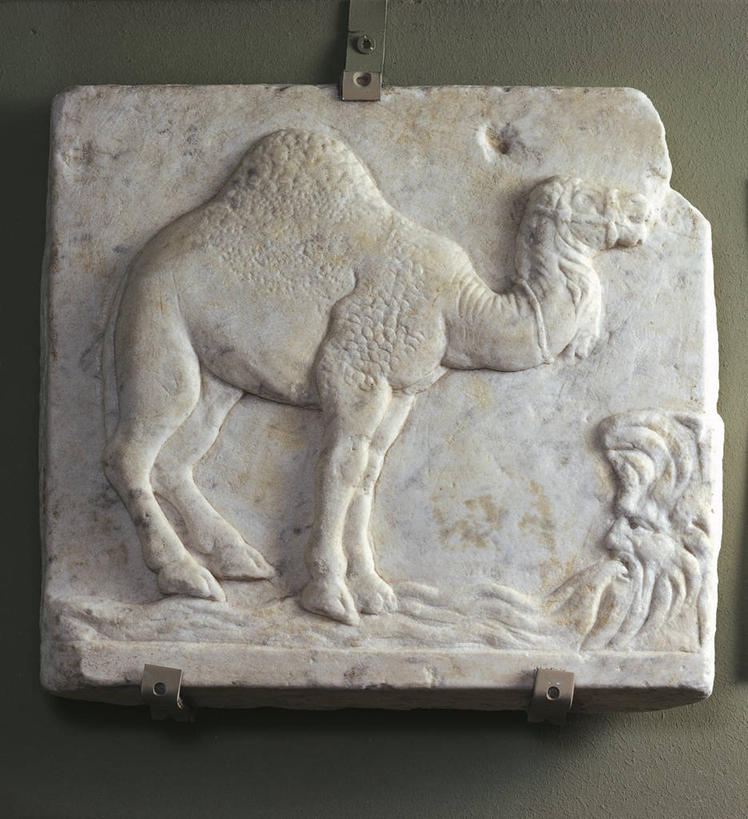 无人,竖图,方图,特写,白天,大理石,历史,古罗马,古代,一个,摄影,块状,单个,单峰骆驼,古代文明,美术工艺,彩图,影棚拍摄,浅浮雕,过去