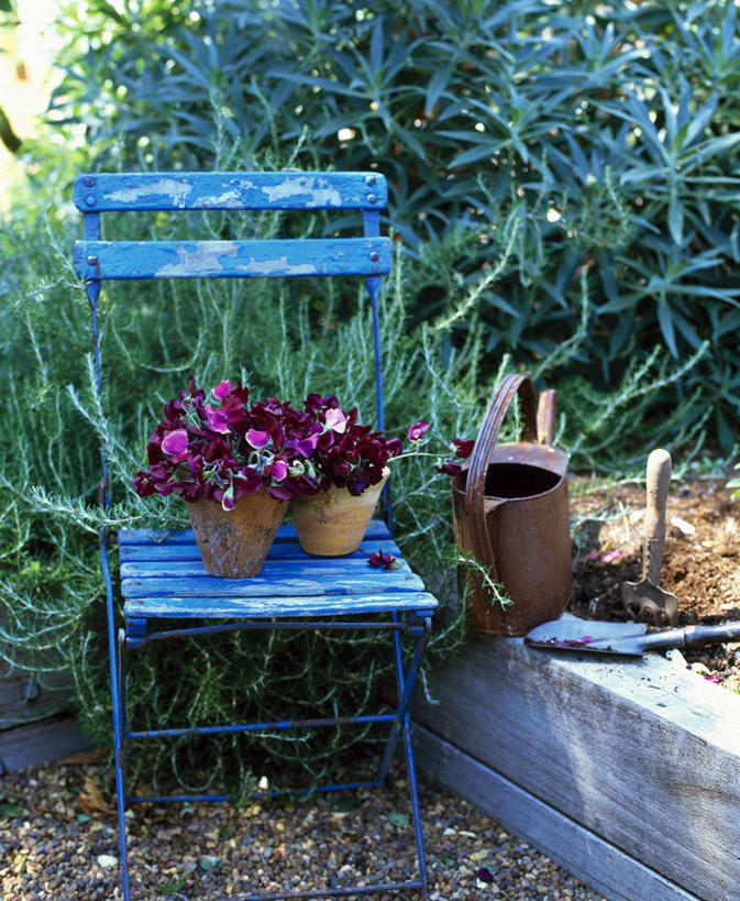 无人,竖图,室外,白天,美景,植物,家具,静物,椅子,花盆,英国,喷壶,景观,香豌豆,设备,英格兰,座位,物品,花,自然,容器,景色,摄影,涂料,泥刀,粘土,自然风光,彩图,对焦