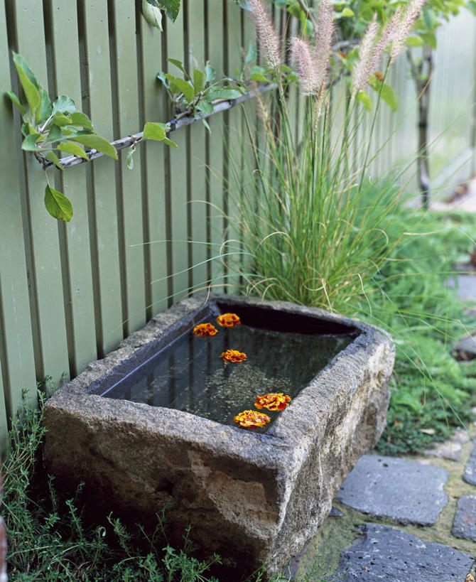 无人,竖图,室外,白天,美景,水,植物,英国,漂浮,水槽,庭院,池塘,景观,万寿菊,英格兰,花,黄色,自然,夏天,橙色,景色,摄影,自然风光,彩图,对焦