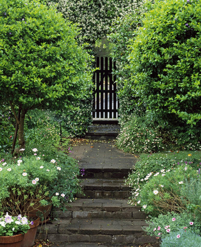 无人,竖图,室外,白天,美景,植物,花盆,英国,大门,庭院,景观,小路,英格兰,台阶,花,自然,容器,夏天,景色,摄影,多样,灌木,自然风光,彩图,花园路