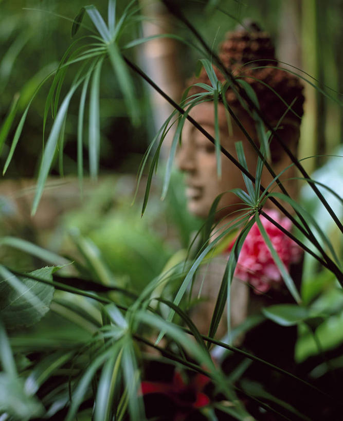 无人,竖图,室外,特写,白天,侧面,美景,植物,叶子,雕塑,英国,景观,佛,英格兰,绿色,自然,景色,摄影,自然风光,柔焦,代表,彩图,对焦