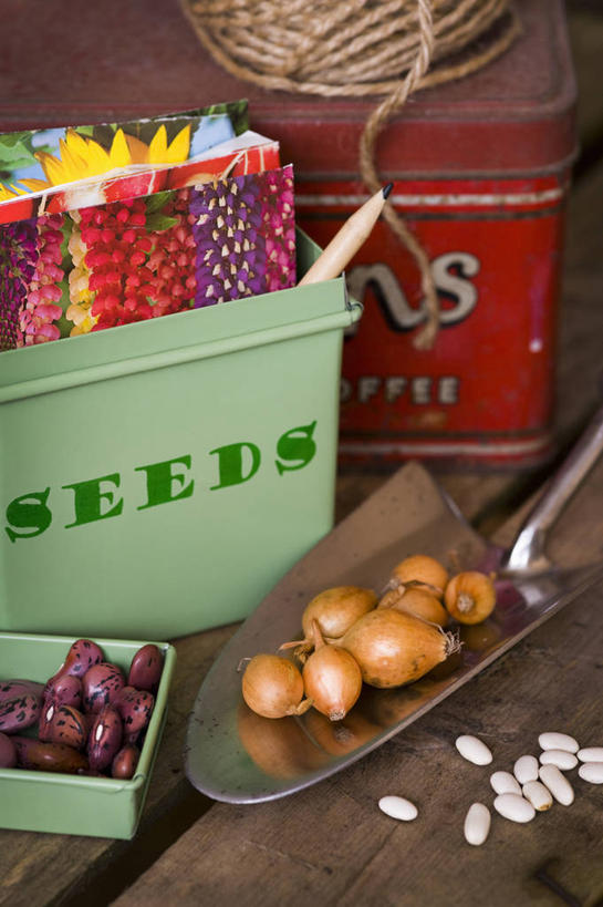 无人,竖图,特写,美景,植物,蔬菜,洋葱,静物,金属,罐子,景观,园艺,种子,设备,物品,自然,铅笔,线绳,景色,摄影,泥刀,自然风光,红花菜豆,彩图,影棚拍摄,对焦