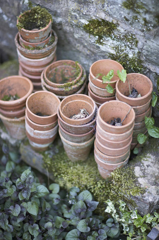 无人,竖图,室外,特写,白天,美景,植物,静物,花盆,英国,许多,堆叠,景观,园艺,苔藓,很多,设备,英格兰,物品,自然,容器,景色,摄影,自然风光,彩图,对焦,壁架