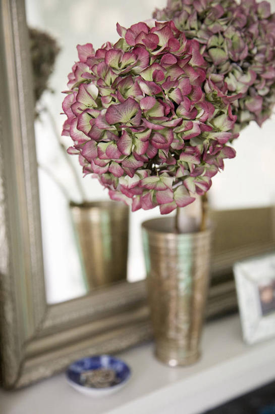 无人,竖图,室内,白天,骄傲,镜子,八仙花,花瓶,装饰,金属,正方形,现代,英格兰,黄金,粉色,插花,绣球花,摄影,紫阳花,洋绣球,草绣球,斗球,七变化,粉团花,善变,彩图