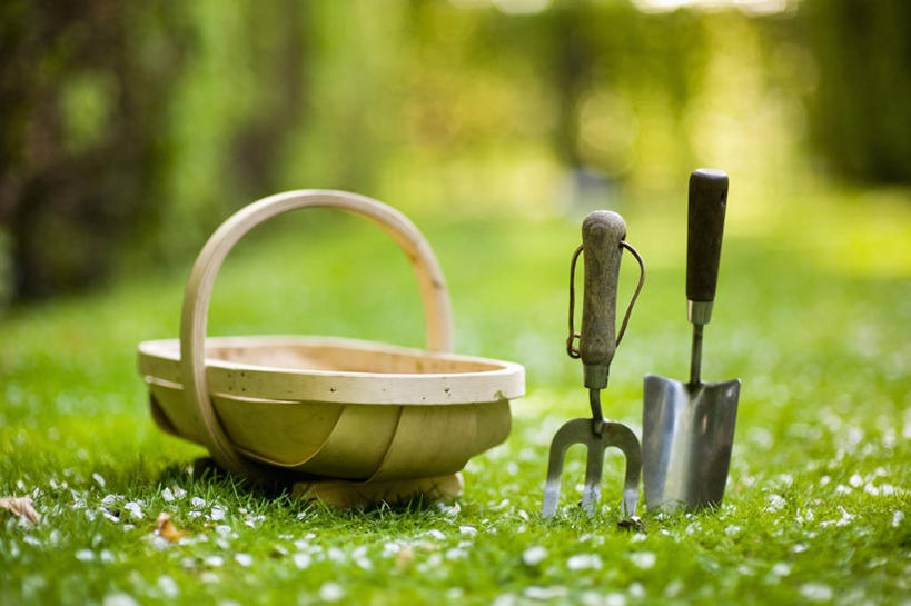 无人,横图,室外,特写,白天,草坪,美景,植物,静物,金属制品,英国,不锈钢,金属,木制,工具,景观,园艺,设备,物品,草,绿色,自然,春天,景色,摄影,泥刀,耙子,自然风光,农具,耕具,彩图,对焦