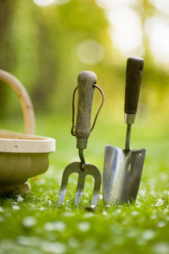 无人,竖图,室外,特写,白天,草坪,美景,植物,金属制品,英国,不锈钢,金属,木制,工具,叉,景观,设备,物品,草,两个,绿色,自然,夏天,景色,摄影,泥刀,耙子,自然风光,农具,耕具,彩图