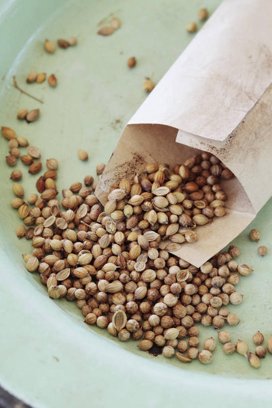 无人,竖图,室内,特写,白天,美景,静物,南非,景观,园艺,香料,食品,褐色,种子,凌乱,饮食,自然,盘子,芫荽叶,景色,摄影,小包,草本,自然风光,彩图