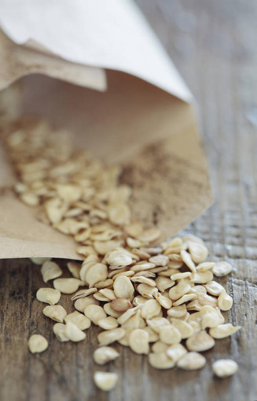 无人,竖图,室内,特写,白天,美景,蔬菜,静物,南非,新鲜,景观,园艺,香料,食品,褐色,种子,凌乱,饮食,食物,自然,景色,摄影,有机食品,绿色食品,小包,草本,自然风光,胡椒,彩图