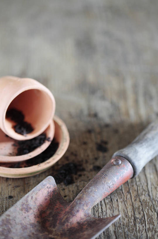 无人,竖图,室内,特写,白天,美景,静物,花盆,南非,金属,木制,景观,园艺,褐色,设备,物品,自然,景色,摄影,泥刀,粘土,自然风光,彩图