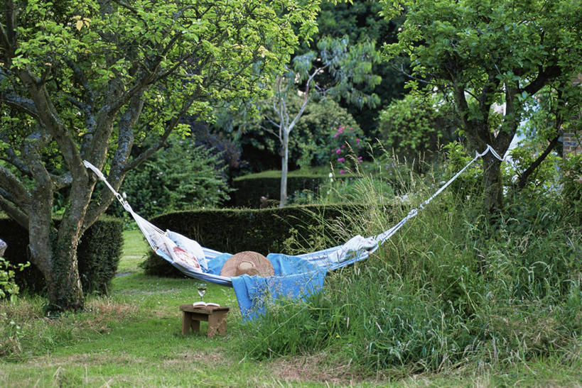 无人,横图,室外,白天,吊床,食品,酒类,饮品,图像,饮食,酒,食物,饮料,自然,夏天,概念,放松,季节,摄影,可口,主题,构图,适口,彩图,时空