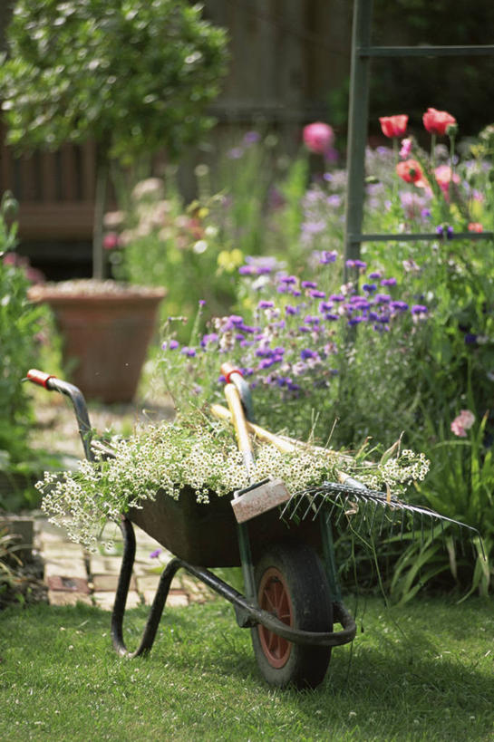 无人,家庭,竖图,室外,白天,植物,园艺,图像,设备,物品,自然,夏天,温暖,温馨,一家人,生物,季节,摄影,和睦,除草,主题,构图,休闲活动,彩图,时空,融洽,对焦,家务劳动