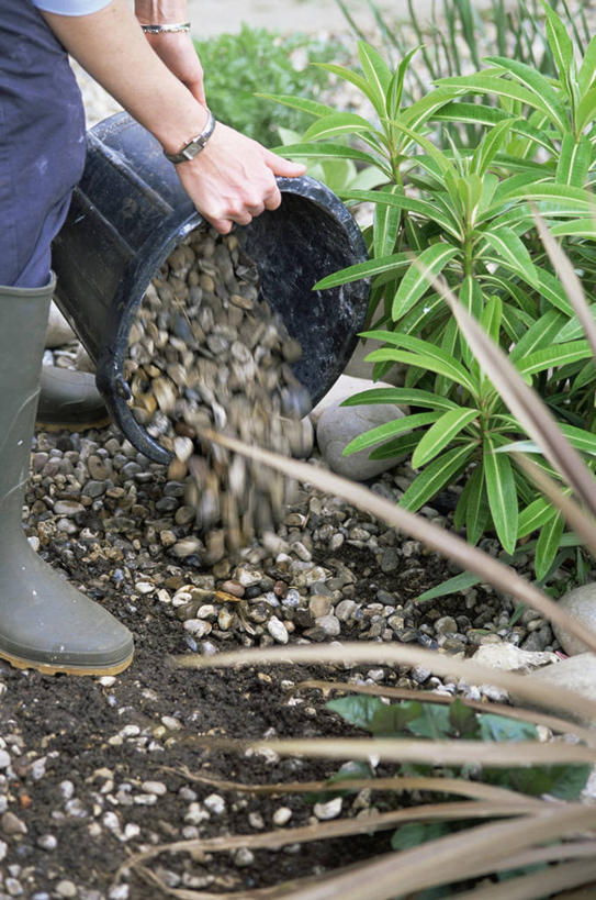 成年人,手,一个人,竖图,室外,白天,运动模糊,植物,仅一个女性,种植,园艺,图像,自然,春天,概念,生物,季节,人体,摄影,生长,部分,主题,构图,女人,中年女性,彩图,时空
