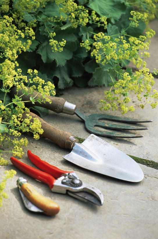 无人,竖图,室外,特写,白天,农业,静物,金属制品,金属,工具,园艺,图像,设备,物品,刀,夏天,四个,季节,摄影,耙子,主题,农具,泥铲,耕具,构图,彩图,时空