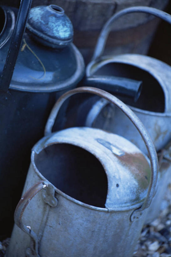 无人,竖图,室外,特写,白天,植物,喷壶,园艺,图像,设备,物品,三个,自然,生物,摄影,主题,构图,彩图,时空