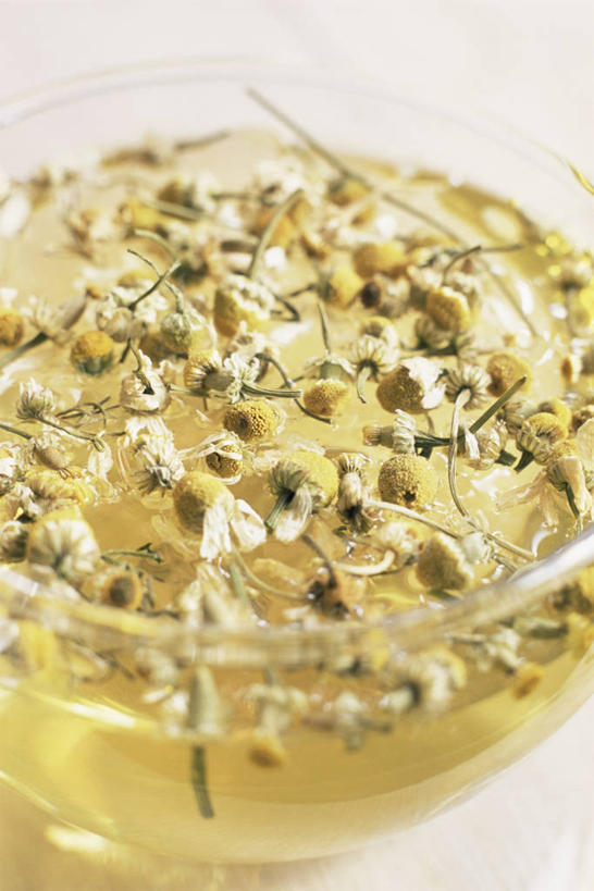 无人,竖图,室内,特写,白色背景,茶,许多,很多,图像,饮食,自然,花茶,摄影,甘菊,草本,主题,构图,彩图,影棚拍摄,对焦