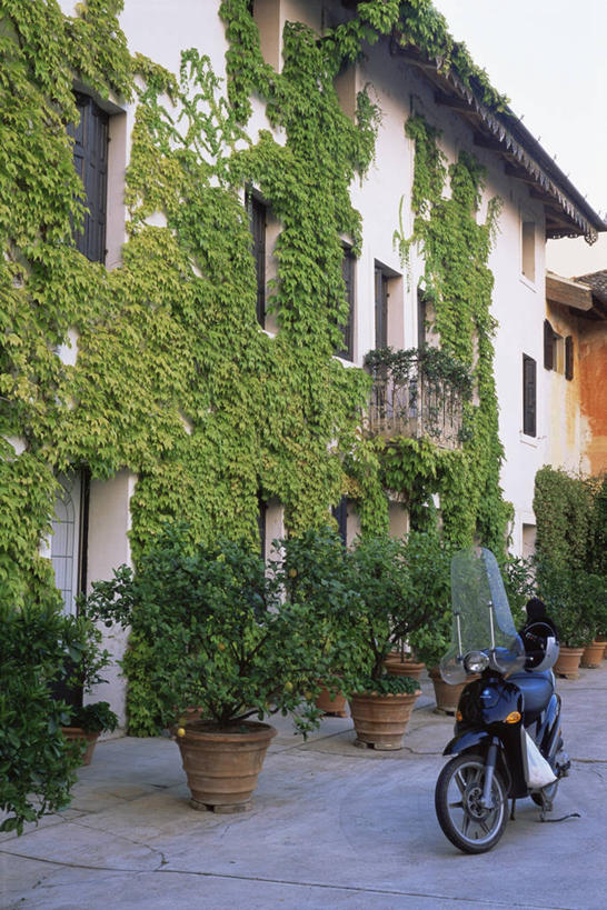 无人,竖图,室外,白天,阳台,摩托车,自行车,意大利,房屋,果树,图像,车,脚踏车,交通工具,摄影,住房,地中海文化,南欧,载具,落叶树,构图,彩图,时空,传统文化