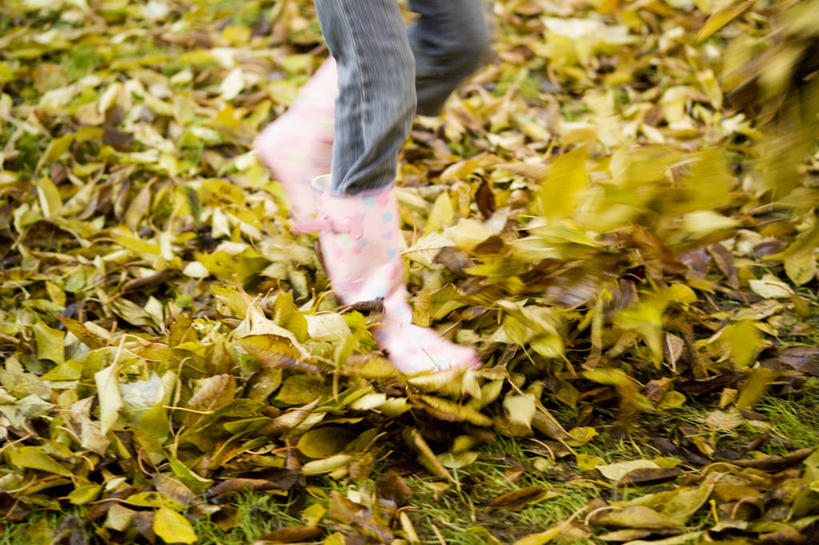 儿童,一个人,横图,室外,白天,运动模糊,纯洁,叶子,仅一个女性,仅一个人,许多,很多,图像,小孩,自然,仅一个小孩,概念,季节,可爱,童年,童趣,摄影,落下,部分,享乐,主题,童真,烂漫,无邪,构图,天真,女孩,女人,女性,孩子,秋天,休闲活动,彩图,时空,女生