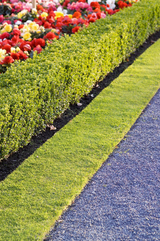 无人,花园,竖图,室外,白天,花圃,植物,花坛,地面,图像,花,自然,摄影,园林,灌木,边界,主题,构图,式样,树篱,小花园,彩图,时空,对焦,状态,景观设计