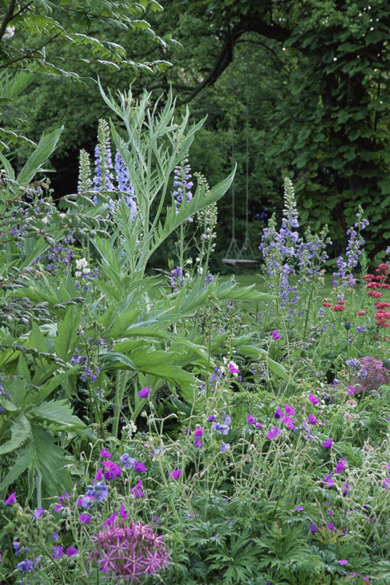 无人,竖图,室外,白天,游戏,美景,植物,摇摆,庭院,景观,玩,娱乐,自然,绳子,秋千,荡秋千,休闲,景色,摄影,活动,绳索,自然风光,摇晃,玩耍,嬉戏,彩图