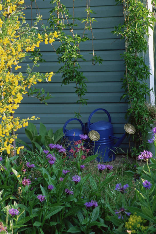 无人,竖图,室外,白天,美景,植物,静物,喷壶,景观,园艺,自然,景色,摄影,自然风光,休闲活动,彩图