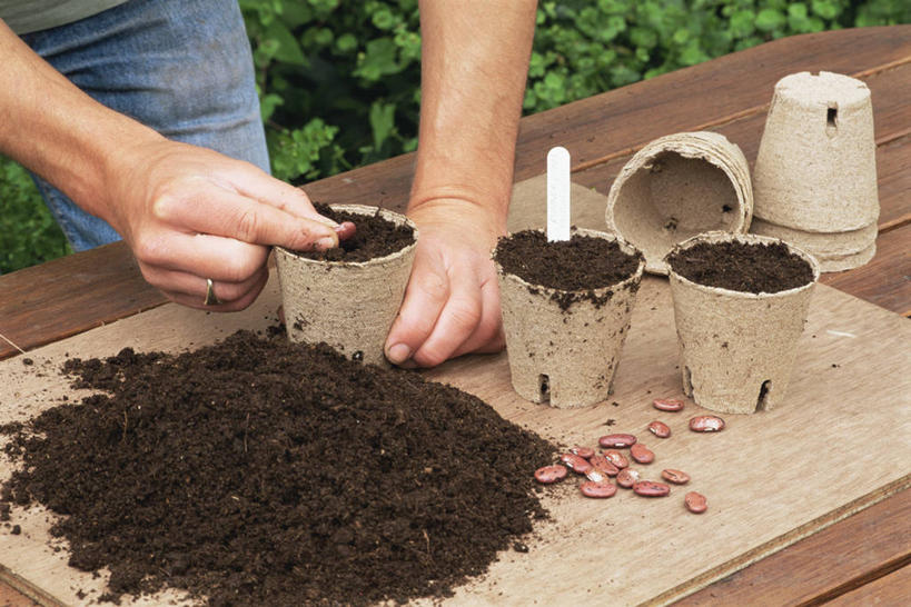 成年人,中年人,手,一个人,横图,室外,特写,白天,侧面,美景,植物,仅一个男性,仅一个人,仅一个中年男性,景观,泥土,园艺,自然,景色,播种,人体,摄影,生长,部分,自然风光,开端,男人,男性,中年男性