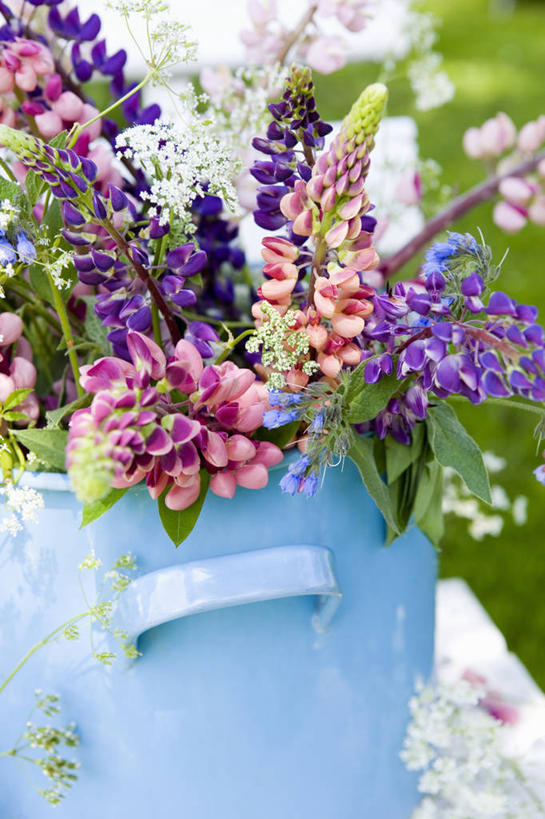 无人,竖图,室外,白天,美景,植物,静物,景观,花,自然,花束,景色,摄影,清新,自然风光,白羽扇豆,彩图