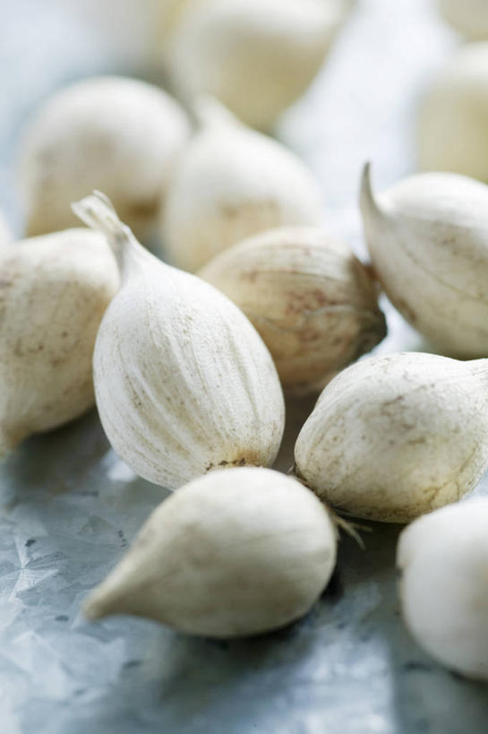 无人,竖图,室内,特写,白天,留白,美景,家具,桌子,蔬菜,静物,新鲜,金属,景观,园艺,食品,食物,白色,自然,奶油,景色,摄影,有机食品,绿色食品,环境,自然风光,彩图,全画面,全框架,全帧,影棚拍摄,洋葱花,全画幅