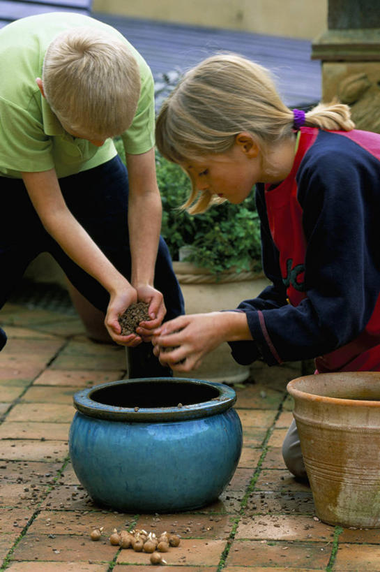 儿童,头发,两个人,兄弟,姐妹,竖图,室外,白天,纯洁,美景,蔬菜,种植,新鲜,景观,园艺,食品,食物,自然,金色,景色,可爱,童年,童趣,摄影,有机食品,绿色食品,环境,自然风光,童真,烂漫,无邪,天真,彩图