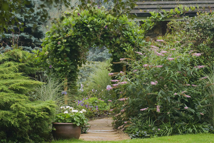 无人,横图,室外,白天,美景,城市,景观,人行道,小路,自然,夏天,景色,摄影,灌木,环境,都市风光,自然风光,沥青,醉鱼草,彩图