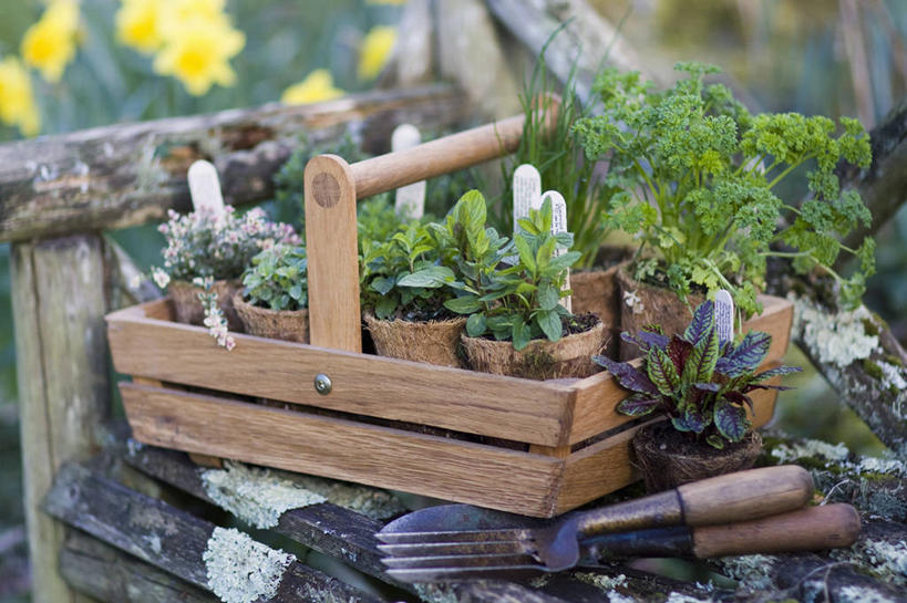 无人,横图,室外,白天,留白,美景,植物,微生物,蔬菜,静物,花盆,金属制品,分离,金属,木制,工具,篮子,长椅,景观,园艺,食品,设备,饮食,座位,物品,排列,自然,容器,景色,摄影,欧芹,多样,环境,罗勒,细香葱,泥刀,耙子,草本,自然风光,农具,板条箱,耕具,分解,彩图,全画面,全框架,全帧,全画幅,膳食纤维,降解,生物降解,生物降解材料