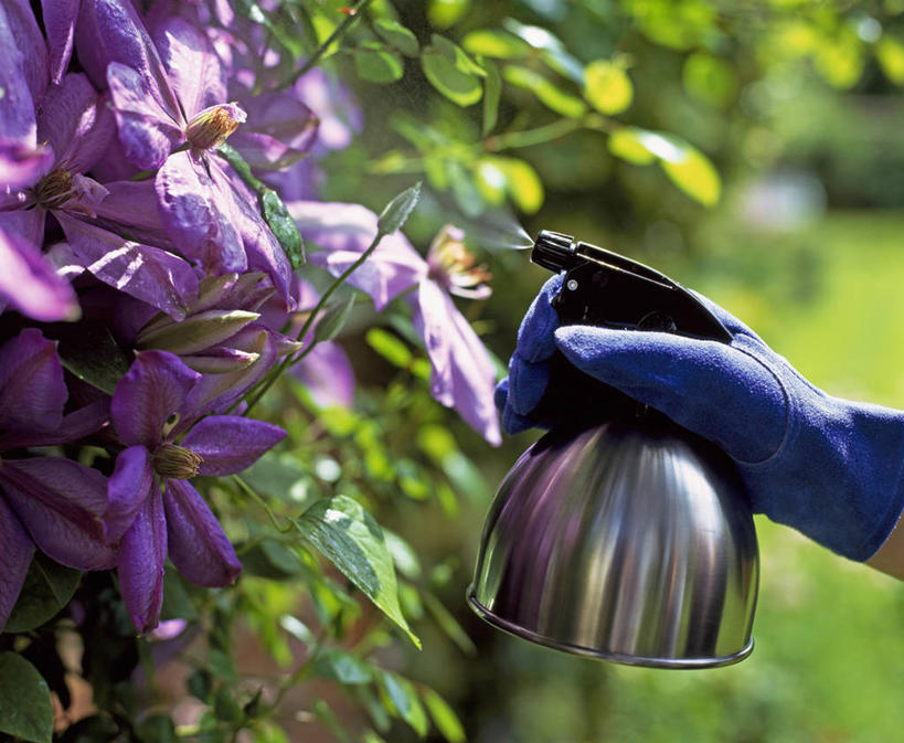 成年人,中年人,手,一个人,攀登,横图,室外,特写,白天,工作服,制服,安全,美景,植物,仅一个女性,仅一个人,喷,景观,园艺,铁线莲,防护,设备,座位,物品,花,紫色,自然,手套,仅一个中年女性,职业,景色,人体,摄影,修理,保护,部分,除草,关爱,自然风光,保险,防护服,保全,周全,安稳,安定,防护手套,工作制服,平安,女人,女性,中年女性,休闲活动,彩图,工作套服,对焦,家务劳动