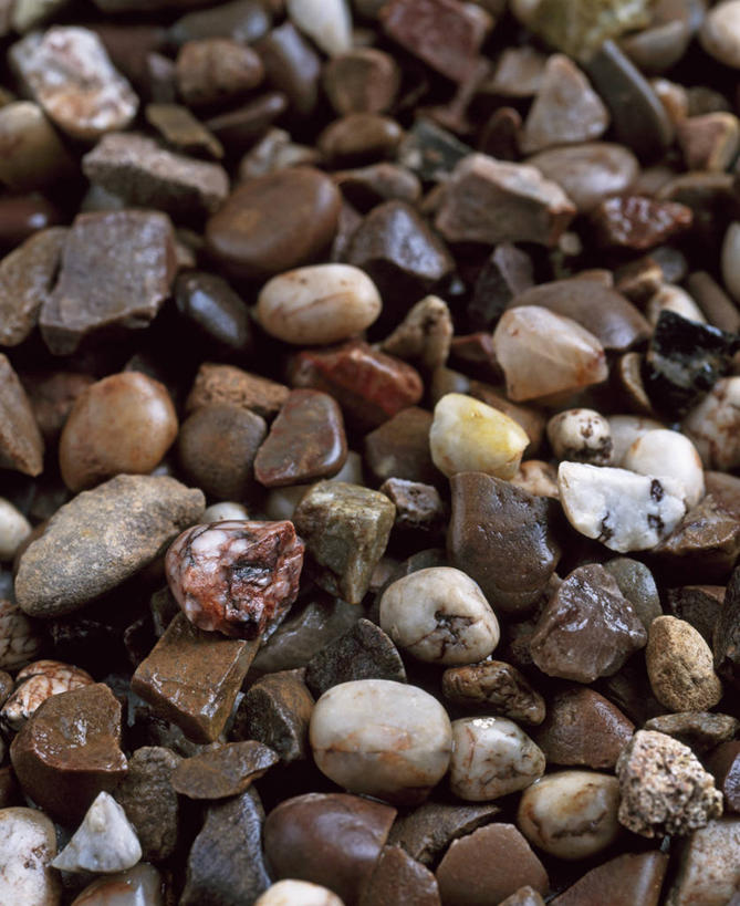 无人,竖图,室外,特写,白天,美景,植物,湿,材料,景观,自然,鹅卵石,景色,摄影,自然风光,彩图,对焦,堆肥