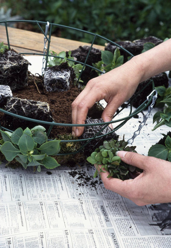 成年人,中年人,手,一个人,交叉,竖图,室外,特写,白天,美景,植物,竹子,金属制品,仅一个女性,仅一个人,握,种植,准备,竹制,编织,金属,篮子,景观,泥土,园艺,拿,拎,拿着,自然,容器,竹篮,做,仅一个中年女性,景色,握着,人体,摄影,储藏,竹条,部分,交织,竹制品,储存,自然风光,穿插,女人,女性,中年女性,休闲活动,彩图,贮存,拎着,对焦,半边莲属