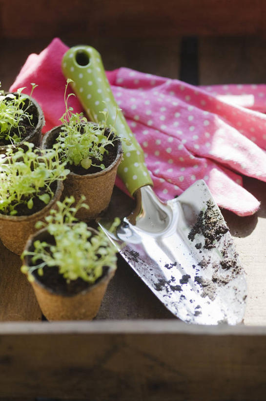 无人,竖图,室外,特写,白天,留白,安全,美景,植物,微生物,静物,叶子,花盆,金属制品,种植,分离,金属,木制,铲子,斑点,景观,泥土,园艺,防护,设备,盒子,物品,排列,粉色,自然,容器,手套,春天,夏天,景色,摄影,保护,纤维,泥刀,清新,自然风光,保险,秧苗,板条箱,保全,周全,安稳,安定,防护手套,分解,平安,彩图,手铲,对焦,降解,生物降解,半边莲属,生物降解材料