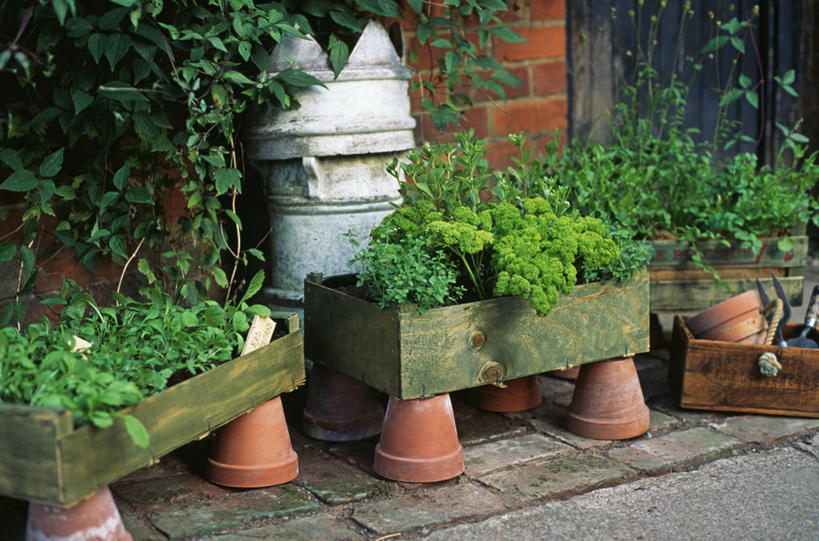 无人,横图,室外,特写,白天,美景,木制,景观,泥土,设备,饮食,盒子,物品,自然,容器,景色,摄影,有机食品,欧芹,草本,自然风光,循环利用,彩图