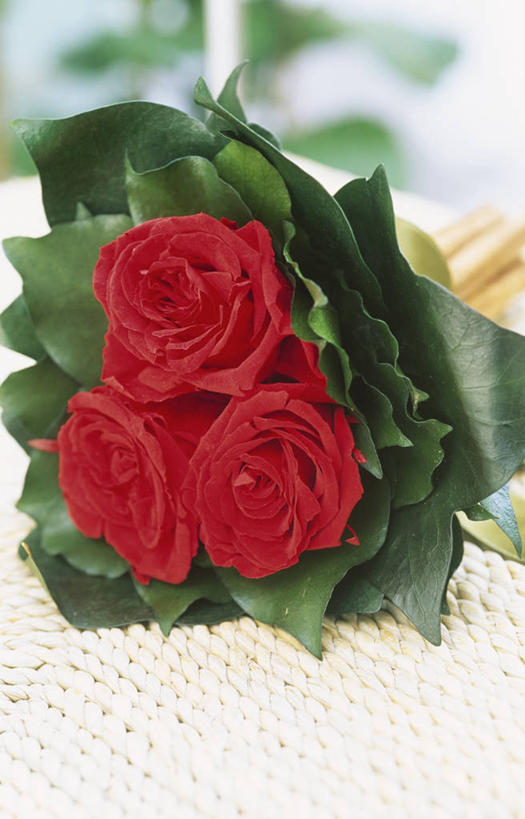 无人,竖图,室内,特写,白天,美景,玫瑰,情人节,景观,浪漫,花,排列,三个,红色,自然,插花,花束,景色,摄影,自然风光,彩图