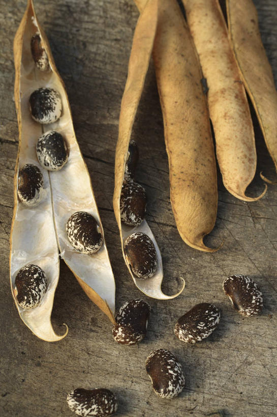 无人,竖图,俯视,室内,特写,白天,农业,农作物,美景,植物,豆,蔬菜,木制,斑点,景观,食品,种子,案板,豆角,饮食,自然,景色,摄影,环境,自然风光,选择,健康食物,豆科植物,红花菜豆,式样,烹调用具,彩图,高角度拍摄,传统文化,膳食纤维