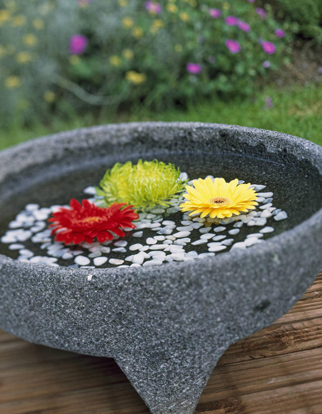 无人,竖图,室外,特写,白天,美景,植物,漂浮,装饰,池塘,景观,一个,自然,景色,摄影,单个,环境,自然风光,火山岩,火成岩,玄武岩,彩图