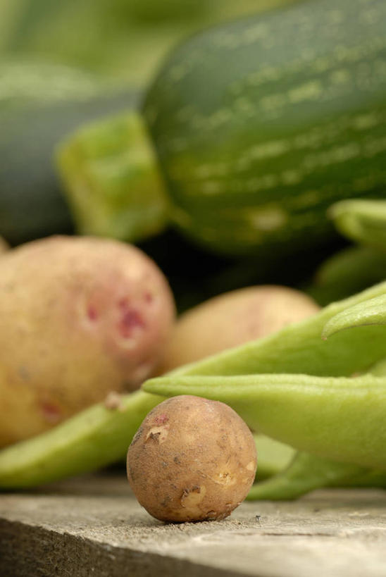 无人,竖图,室内,特写,白天,留白,农业,农作物,美景,植物,蔬菜,景观,食品,西葫芦,案板,饮品,豆角,饮食,食物,饮料,自然,景色,摄影,环境,可口,清新,自然风光,选择,红花菜豆,适口,烹调用具,马铃薯,胡瓜,彩图