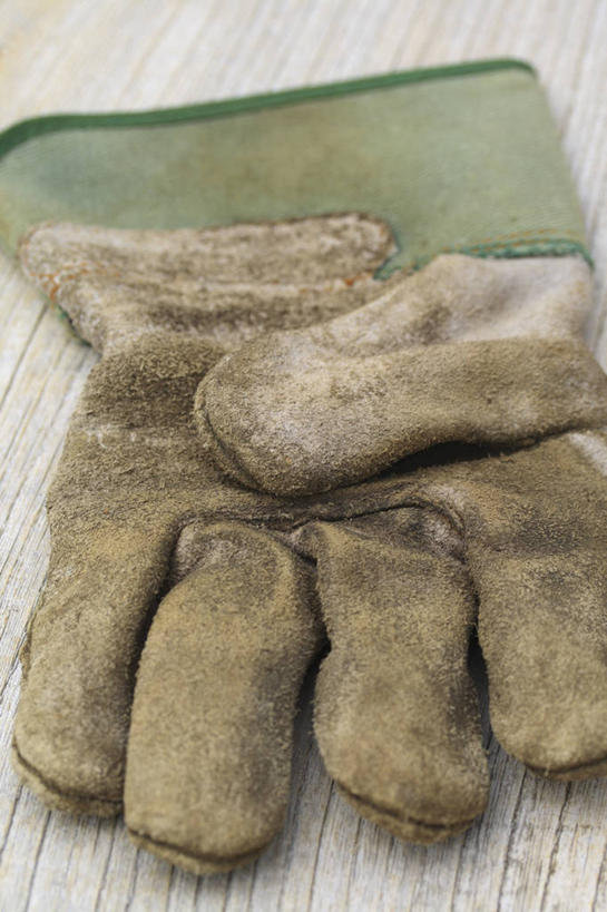 无人,竖图,室外,特写,白天,工作服,制服,安全,美景,植物,景观,园艺,防护,皮革,设备,物品,一个,衣服,自然,手套,景色,摄影,单个,保护,羊皮,环境,自然风光,保险,防护服,保全,周全,安稳,安定,防护手套,工作制服,平安,彩图,工作套服