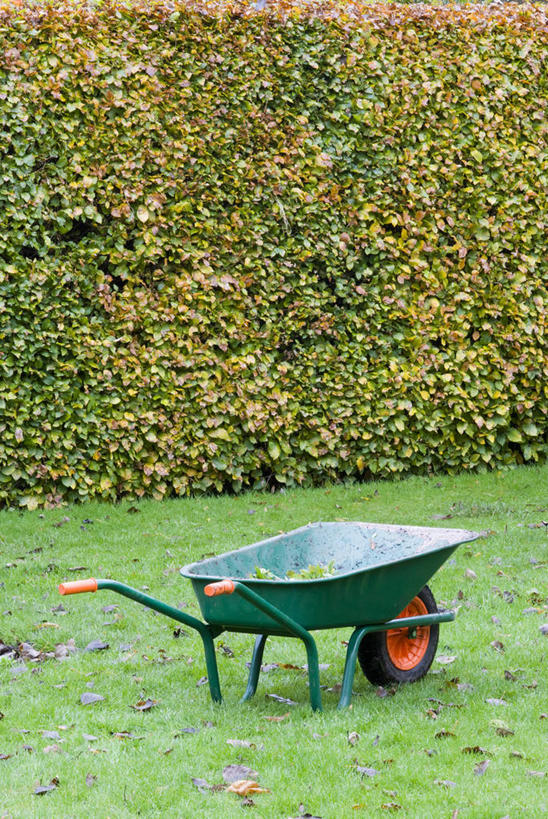 无人,竖图,室外,特写,白天,草坪,美景,植物,叶子,庭院,景观,园艺,设备,物品,草,一个,黄色,自然,景色,摄影,单个,环境,自然风光,边界,独轮手推车,落叶树,山毛榉树,树篱,秋天,彩图