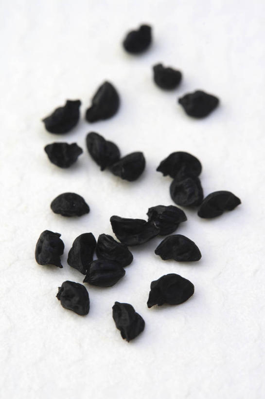 无人,竖图,室内,特写,白天,白色背景,美景,植物,蔬菜,景观,园艺,食品,种子,饮食,白色,黑色,自然,景色,摄影,环境,自然风光,韭,开端,休闲活动,彩图,影棚拍摄