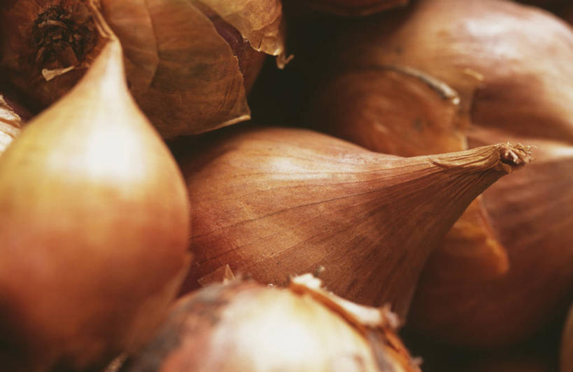 无人,横图,特写,白天,留白,农业,农作物,蔬菜,洋葱,静物,英国,生食,褐色,饮食,橙色,摄影,选择,彩图,对焦