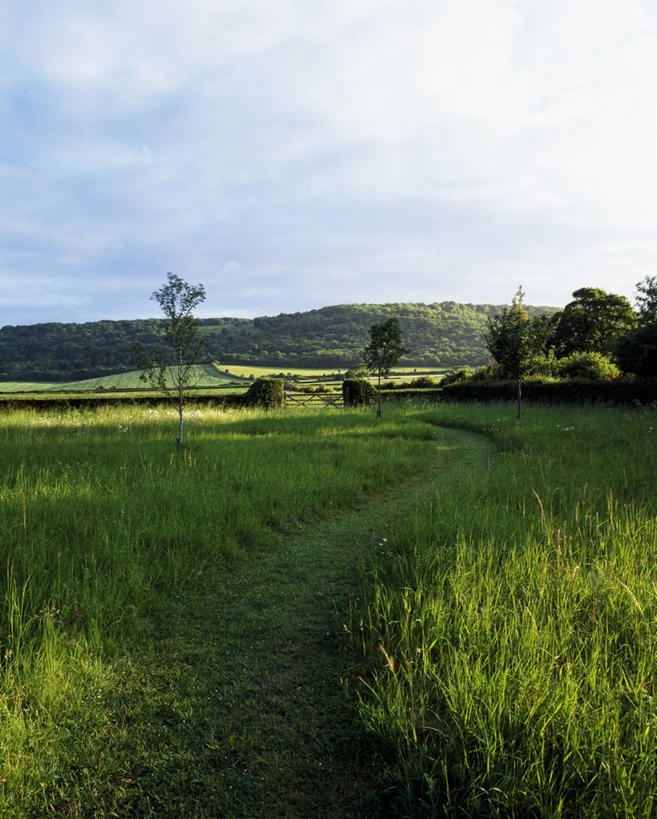 无人,竖图,室外,白天,草地,美景,植物,日光,弯曲,缠绕,景观,田地,云,小路,野花,英格兰,天空,自然,景色,摄影,生长,早晨,清新,自然风光,铅,彩图