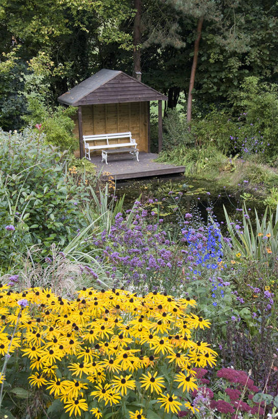 彩色,室外,白天,水,植物,木制,花坛,木材,长椅,庭院,池塘,草药,药草,亚麻,中药,座位,花,花瓣,树,凉亭,夏天,摄影,金花菊,灌木,五颜六色,色彩斑斓,景天,药材,中草药,五彩缤纷,中药材,本草,五彩斑斓,八宝,五光十色,飞燕草,包菜还阳,活血三七,多年生植物