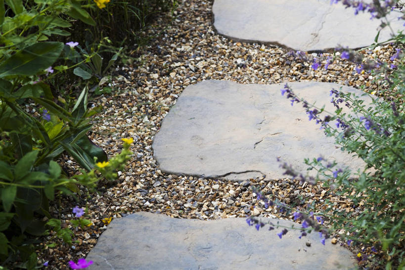 无人,横图,室外,特写,白天,留白,植物,庭院,小路,花,夏天,摄影,垫脚石,沙砾,沥青,彩图